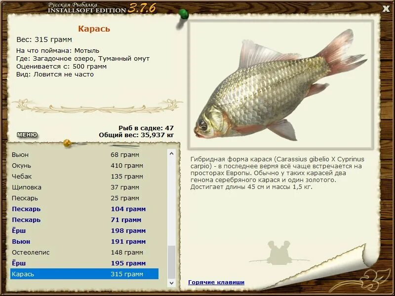 Русская рыбалка игра installsoft. Русская рыбалка 3 карась серебряный. Русская рыбалка 3 карась. Русская рыбалка 4 карась серебряный. Карась на 500 грамм размер.