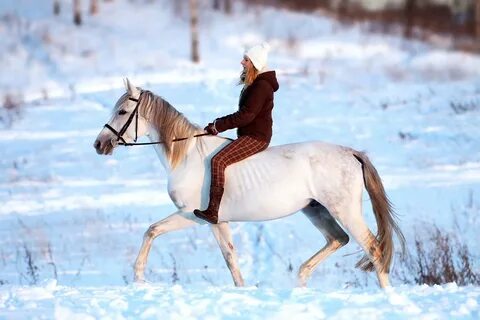 Зимой на коне