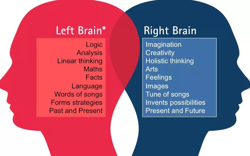 Leave the brain. Left and right Brain. Left right. Left Brain right Brain. Left and right Brain thinking.