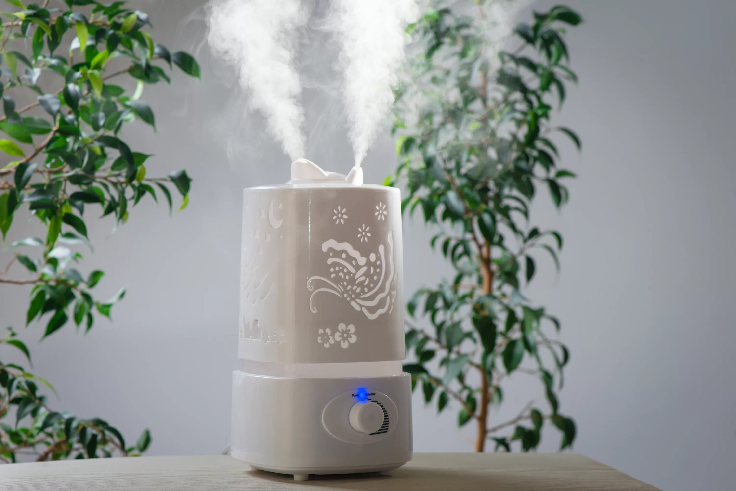 Увлажнитель заболели. Увлажнитель воздуха ad7954. Увлажнитель воздуха Humidifier к5. Воздухоувлажнитель Humidifier DQ 122 White. Увлажнитель воздуха "Forest Air", цвет дерево.