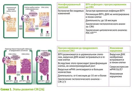 Лечится ли впч