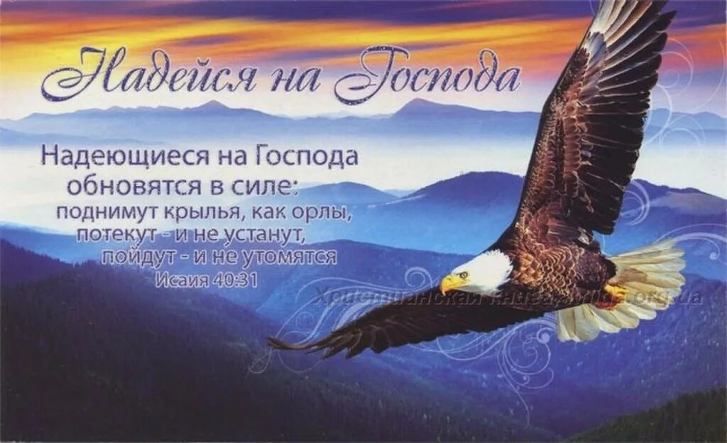 С днем рождения сына христианские. Христианские открытки с днем рождения. Христианские поздравления с днём рождения мужчине. Христианские пожелания с днем рождения. Открытки с днём рождения мужчине христианину.