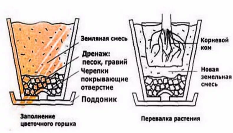 Дренажные отверстия в горшке. Слой дренажа в горшке. Дренаж для кактуса. Дренаж в горшке для кактуса. Керамзитовый дренаж для кактуса.