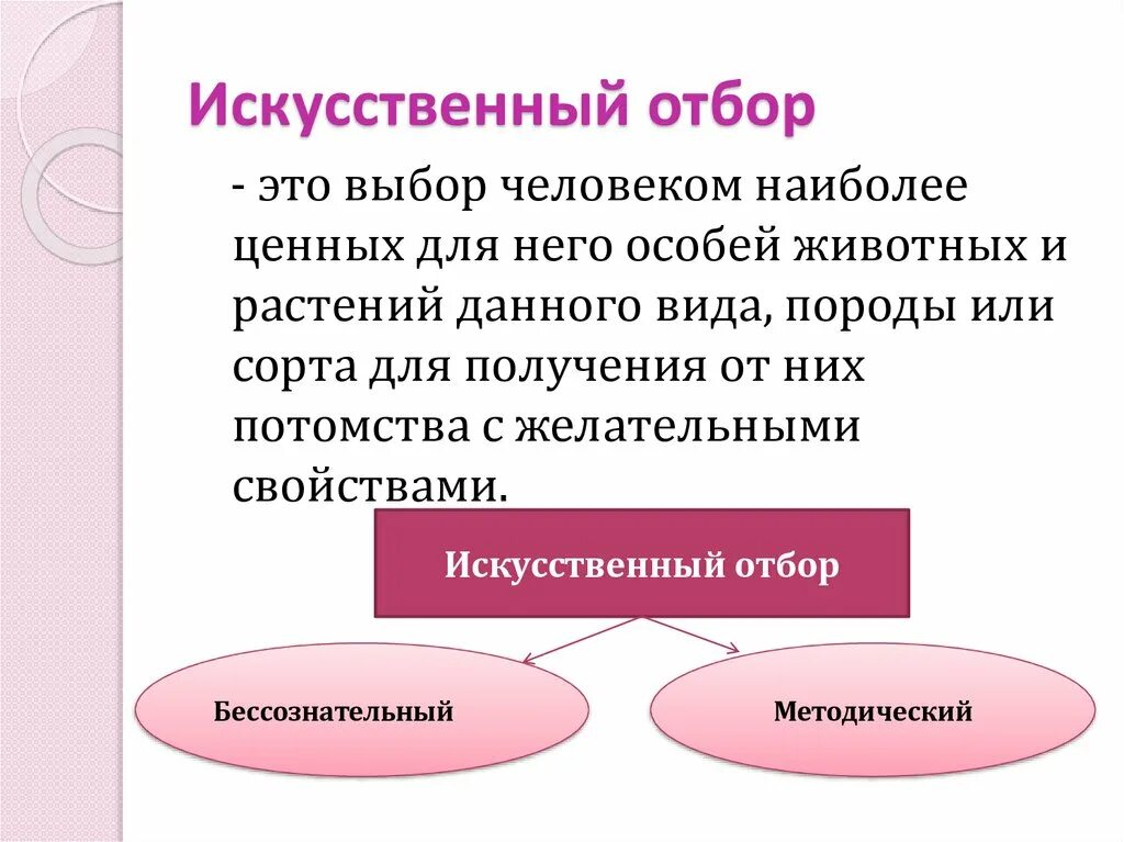 Отбор проводимый человеком. Искусственный отбор определение. Искусственный отбор это в биологии 6 класс. Искусственный отбор это в биологии. Искуственный ОТБР Э это.