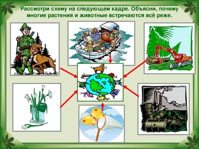 Почему многие растения и животные стали редкими