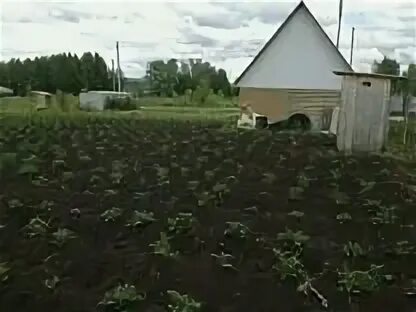 Участок бирск