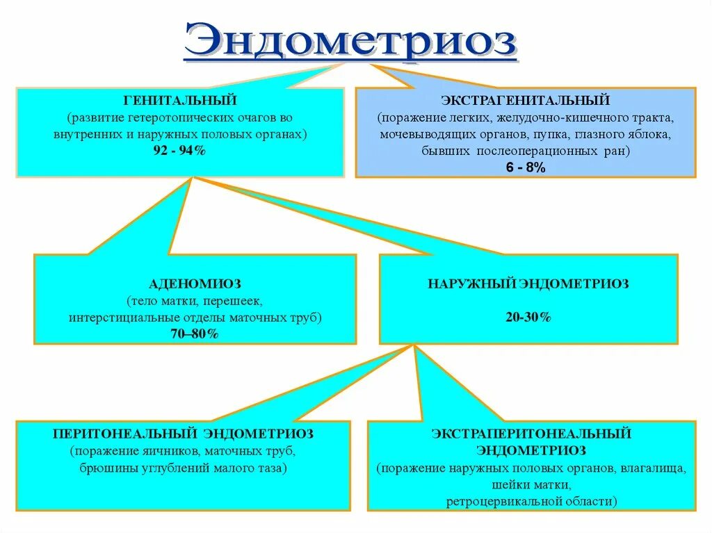 Норма эндометриоза. Клинические симптомы эндометриоза. Механизм развития эндометриоза. Схема терапии эндометриоз.