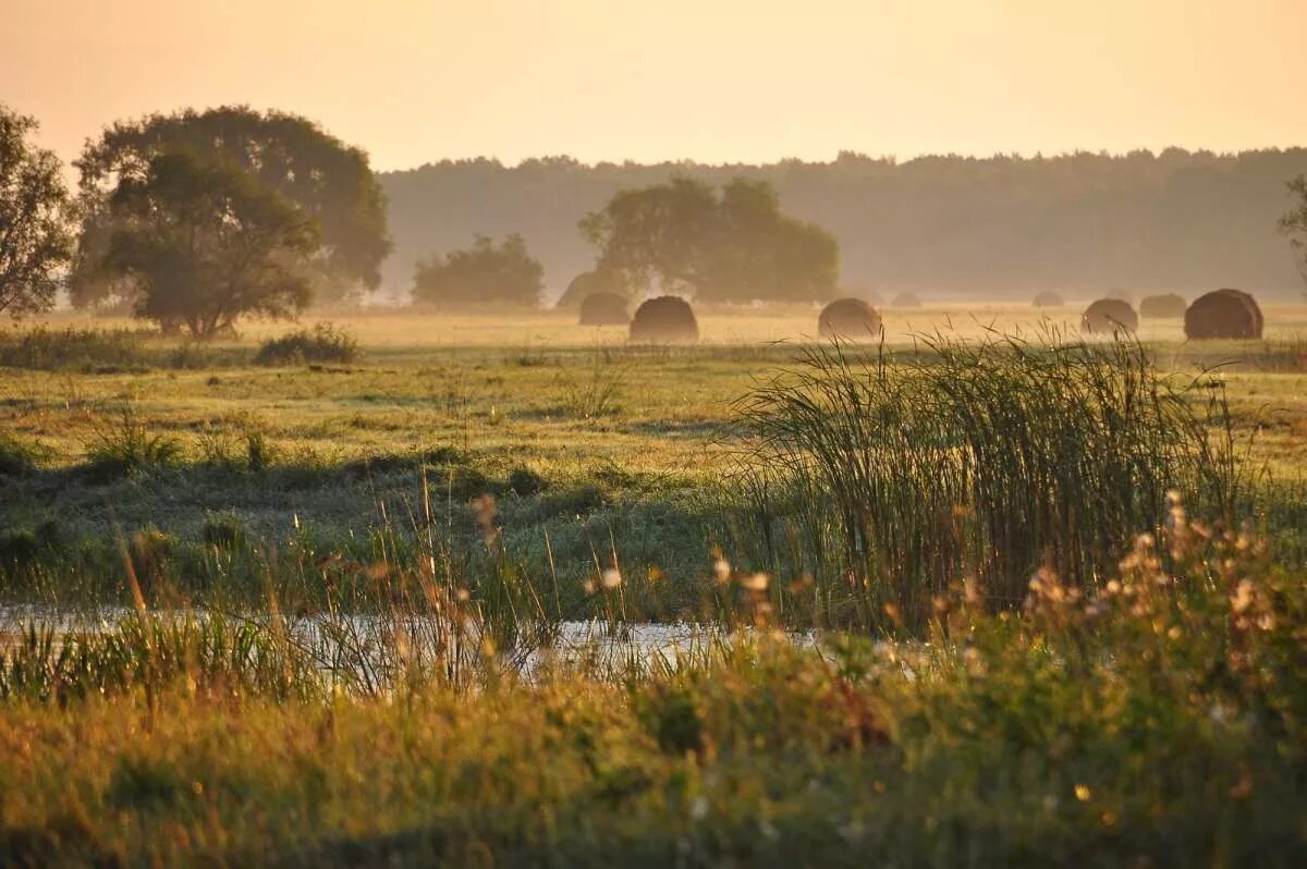 Поле пшеницы деревня стог сена. Под ним может быть поле. Рассвет в поле. Под ним может быть поле. Под ним может быть поле.