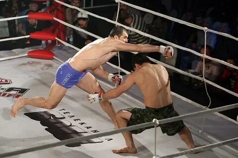 M fight