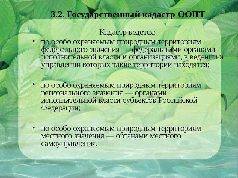 Государственный кадастр особо охраняемых территорий. Значение оопт. государственный кадастр особо охраняемых природных территорий (оопт). характеристика особо охраняемым природным территориям. оопт вывод.