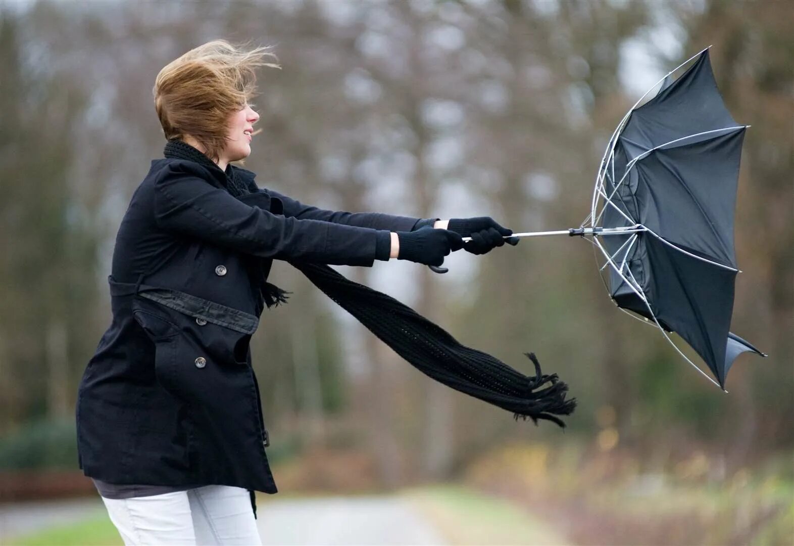 Штормовой ветер. Strong wind. Ветер фото. Штормовое предупреждение ветер. Ветер стоковые картинки.