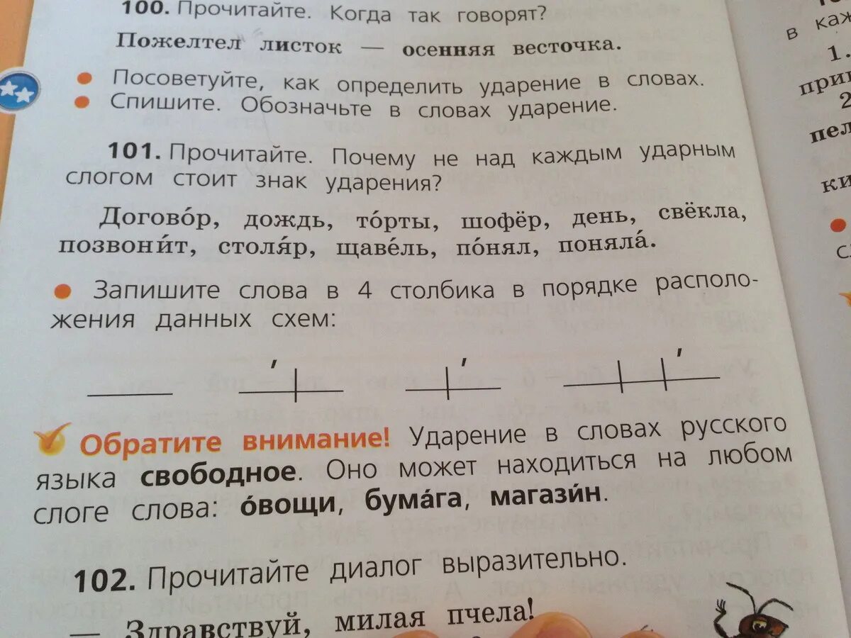 Прочитайте обозначьте в словах ударение. Прочитайте когда так говорят. Пожелтел ударение. 134. Прочитайте диалог. Знак ударения в слове шоферы