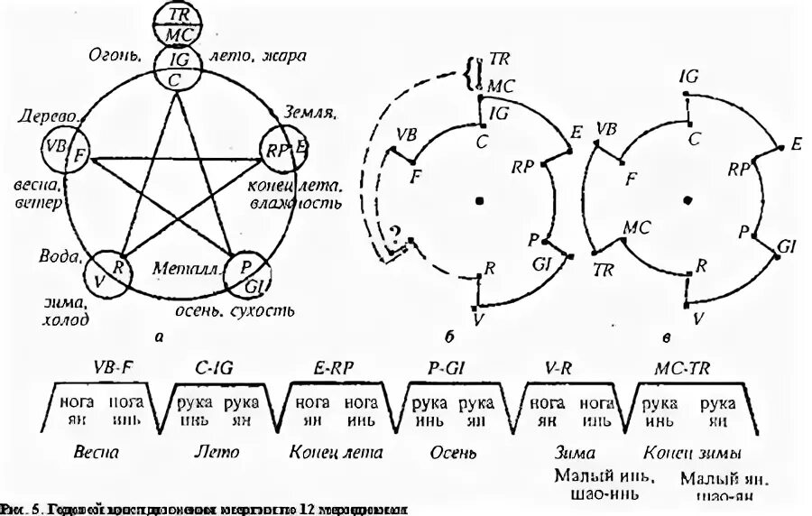 5 элементов движения. . Годовой цикл движения энергии по 12 меридианам.. Цикл у син 12 меридианов. Схема у-син пять первоэлементов. Схема активности меридианов.