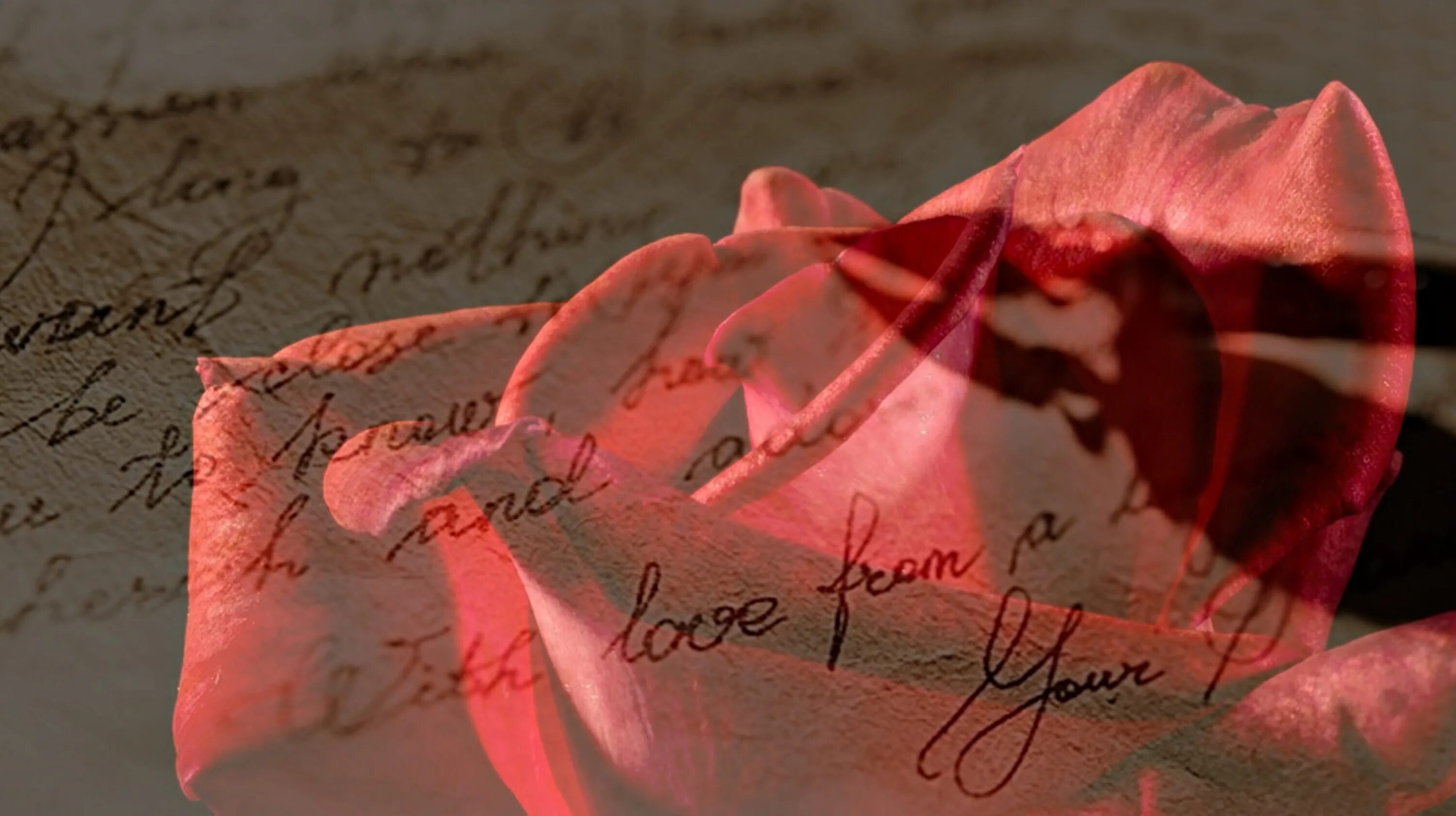 Страстное письмо. Послание любви. Любовное письмо. Романтические послания. Письмо любви.