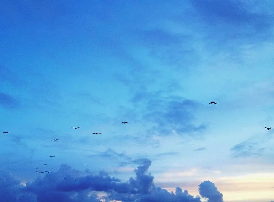Flying cloud