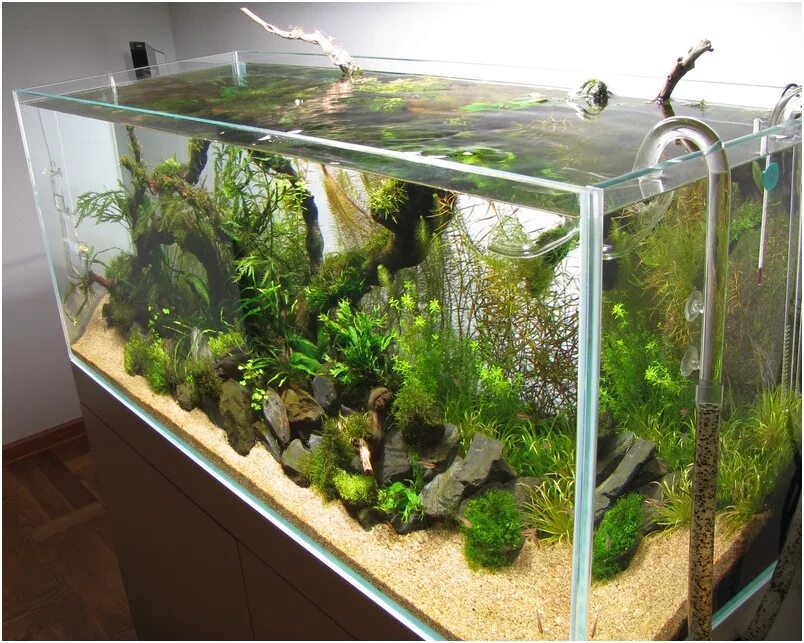 аквариумные самодельные. самодельный аквариум. самоделки для аквариума. самоделки для аквариума. склейка аквариума.