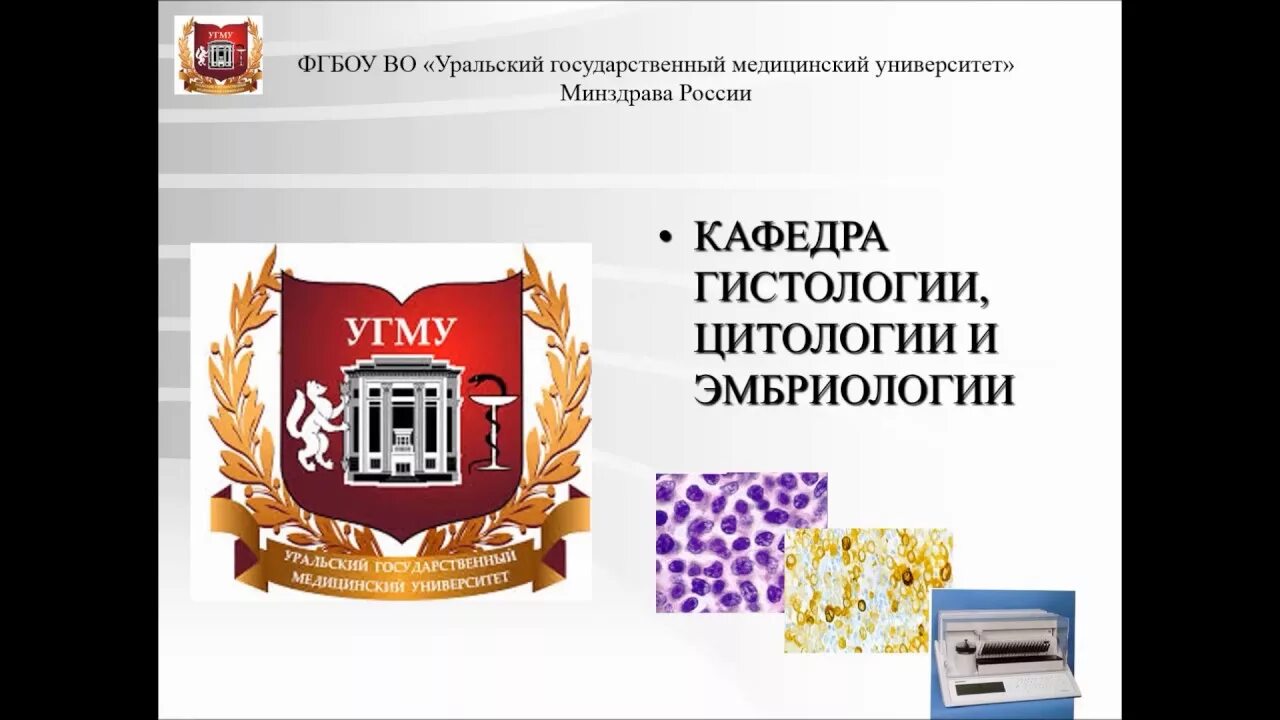 Гистология екатеринбург. Гистология екатеринбург. Гистология екатеринбург. Пин простаты гистология. Карциноматоз гистология.