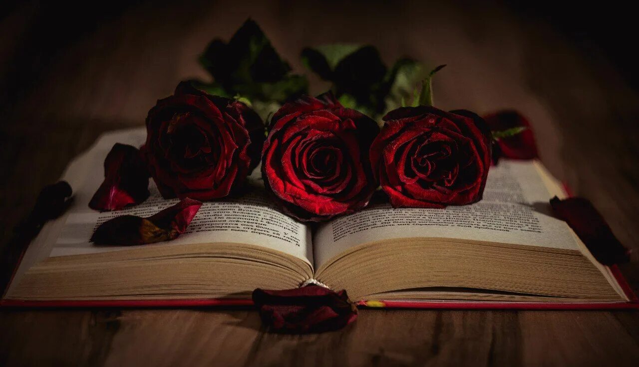 «натюрморт с книгами». Цветы и книги фото красивые. Книга с розой на обложке. Фон книги. Книга розы картинки.