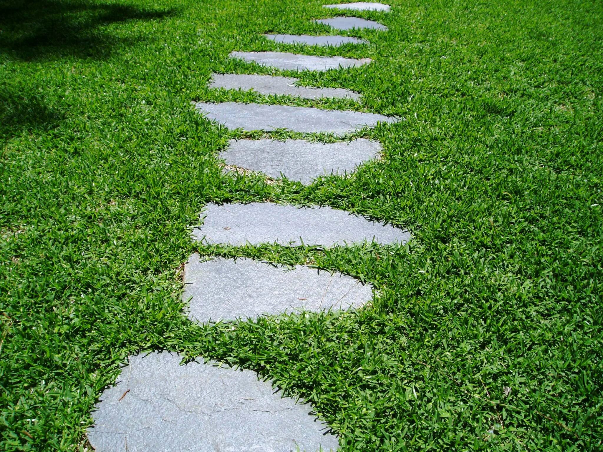 Асфальтовывые дорожки на даче. Деревья на газоне. Плитняк степ дорожки. Беговая дорожка на стадионе сбоку старт. Данная дорожка.