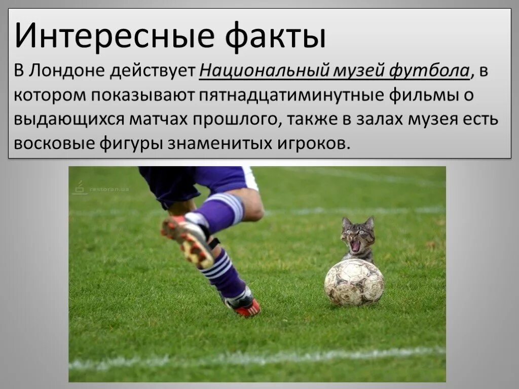 Интересные факты в истории футбола. Это интересно футбол. Интересные факты о футболе. Факты о футболистах. Интересные факты о футболе.