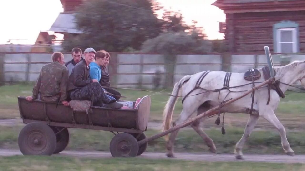 Увидала она запыленную растрепанную суходольскую телегу