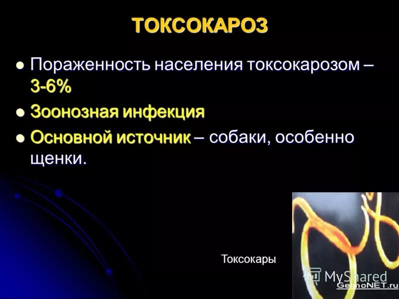 Ипка коннект. Неврологическая форма токсокароза.