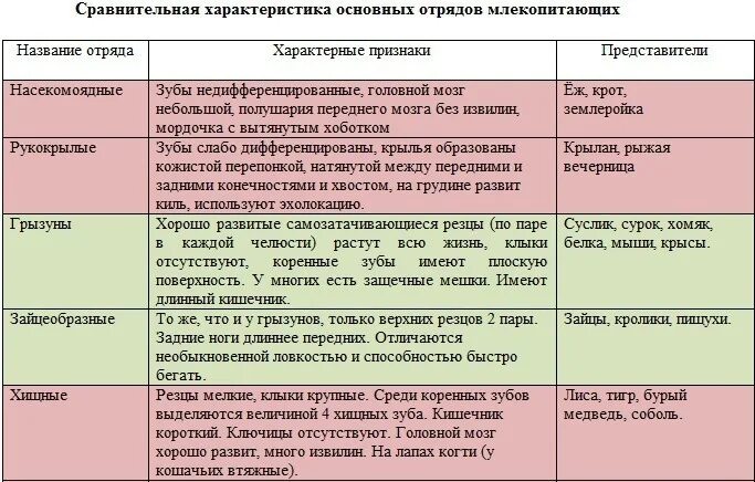 Таблица характеристика отрядов класса млекопитающих. Характеристика отрядов млекопитающих таблица 7 класс биология. Характеристика класса млекопитающие 7 класс биология таблица. Отряды плацентарных млекопитающих таблица 7 класс биология. Характеристика млекопитающих 8 класс биология