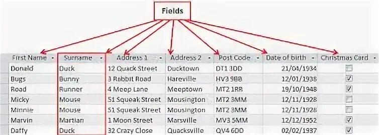 Database name