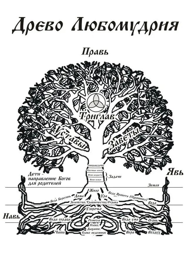 Славянский язык древо языков. Древо жизни славянских богов. Дерево старославянских языков. Слава на старославянском. Мировое древо славян символ.