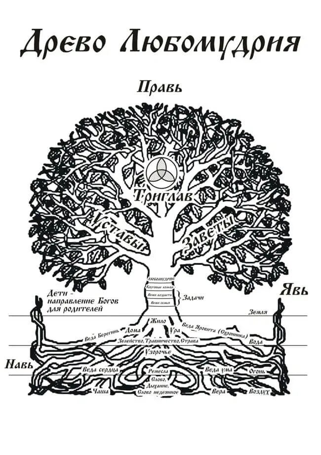 Мировое Древо восточных славян. Мировое Древо славян схема. Славянские боги Древо рода. Славянский Пантеон Древо. Древо культуры
