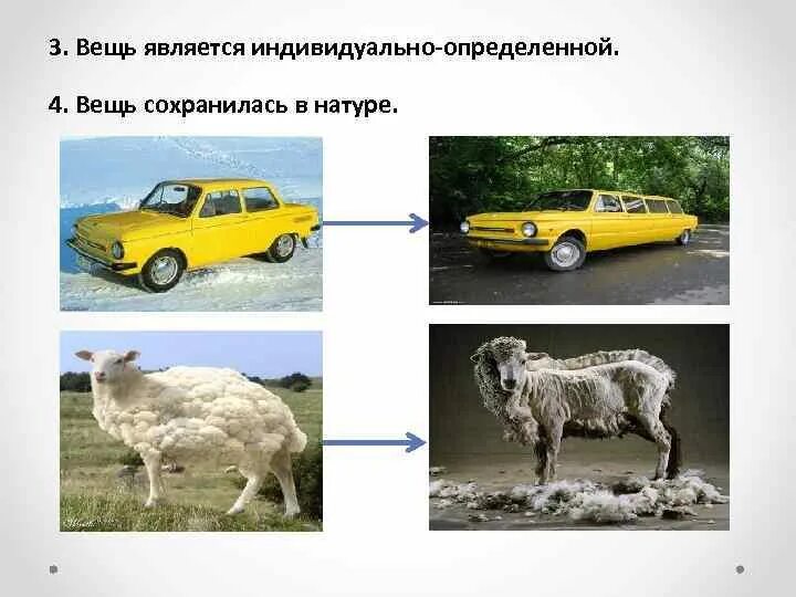 Вещи определяемые. Индивидуально определенные и родовые. индивидуально определенные вещи. индивидуальные и родовые вещи. вещи, определяемые родовыми признаками, и индивидуальные.
