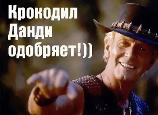 Данди по прозвищу крокодил 1. Крокодил данди в качестве. Крокодил данди в качестве. Крокодил данди сью чарлтон. Крокодил данди в качестве.