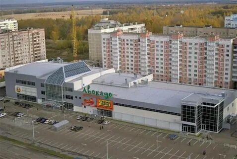 Авокадо кострома