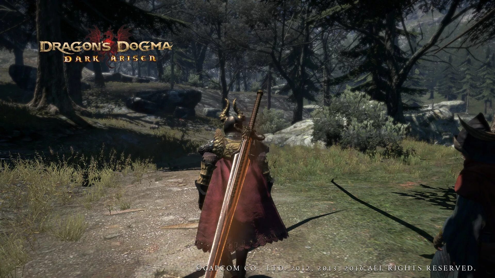 Dragons dogma 2 время выхода. Dragon's Dogma меч дракона. Dragons Dogma 1. Драгон Догма 2. Драгонс Догма 2012.