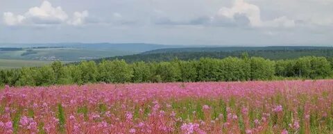 Погода ревякина иркутская область на 14