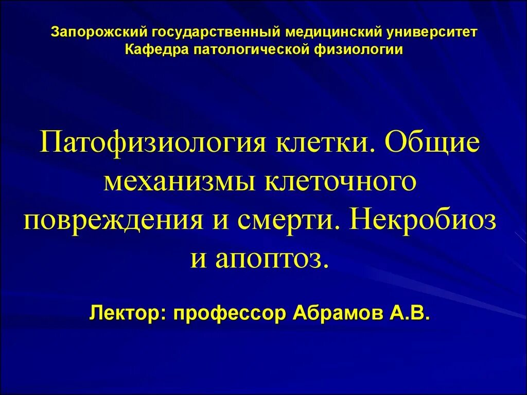 Общие механизмы повреждения. Повреждение клетки патофизиология. общие механизмы повреждения клетки патофизиология. механизмы повреждения клетки патфиз. повреждение клетки патофизиология презентация.