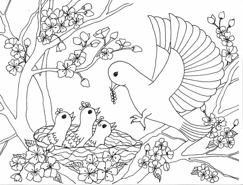 День птиц распечатать. Птицы. Раскраска. Птичка раскраска. Раскраска природа. Птицы раскраска для детей.