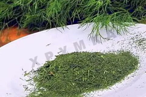 Что можно сделать укропом на зиму