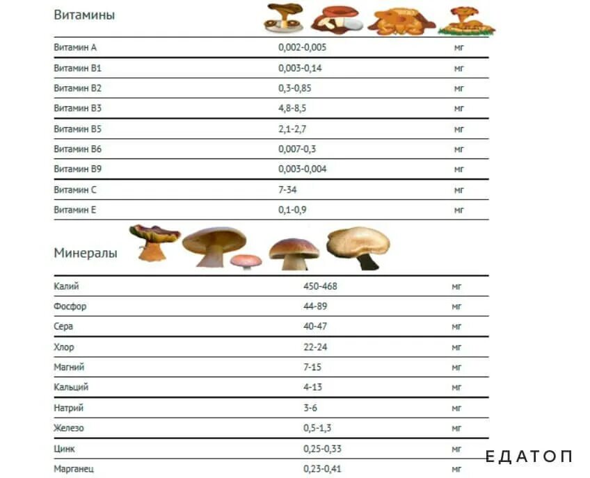 Грибы есть витамины. Какие витамины содержатся в грибах. Грибы витамины и микроэлементы. Белый гриб состав витаминов и минералов. Грибы Лесные витамины и микроэлементы.