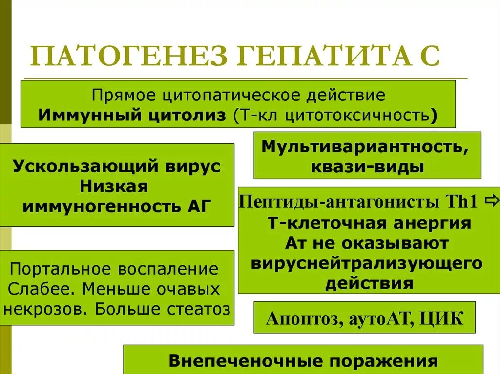 Хронический гепатит патогенез кратко. Патогенез вирусного гепатита в схема. Патогенез гепатита а схема. Патогенез хронического гепатита схема. Гепатит а патогенез