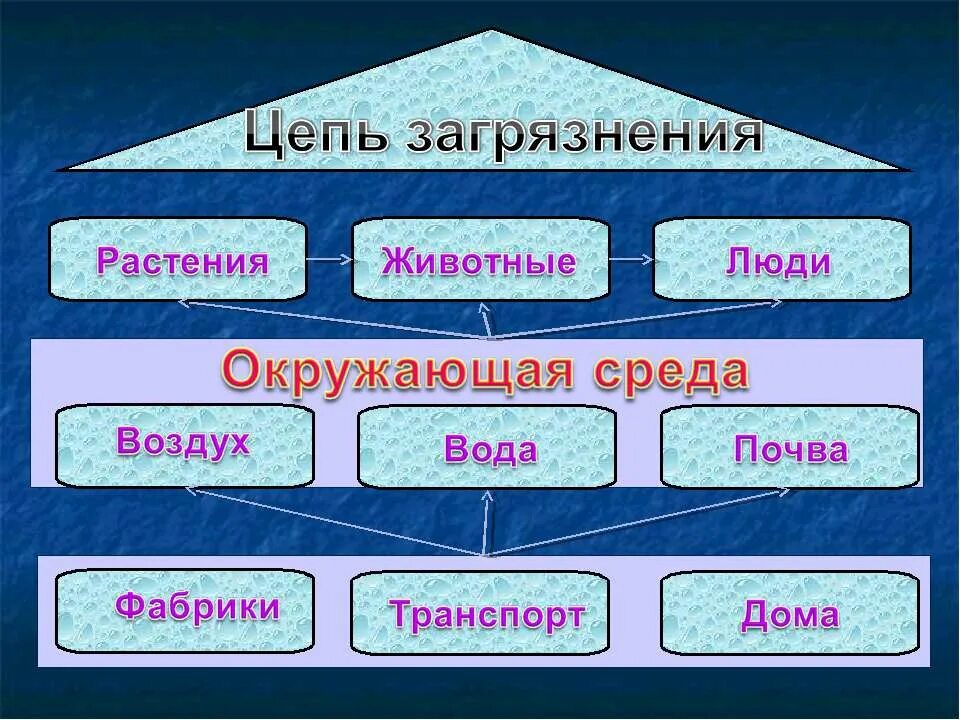 Цепь загрязнения. Цепь загрязнения окружающей среды. Экологическая безопасность цепь загрязнения. Цепи загрязнения окружающей среды 3.