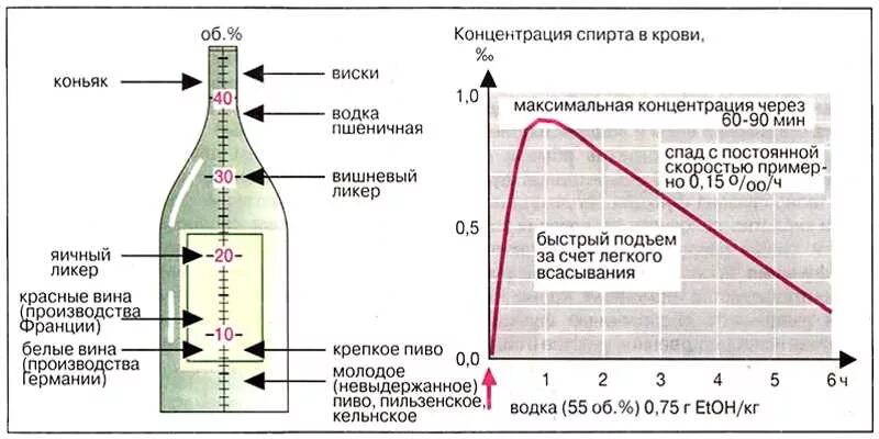 Сколько грамм спирта сожгли