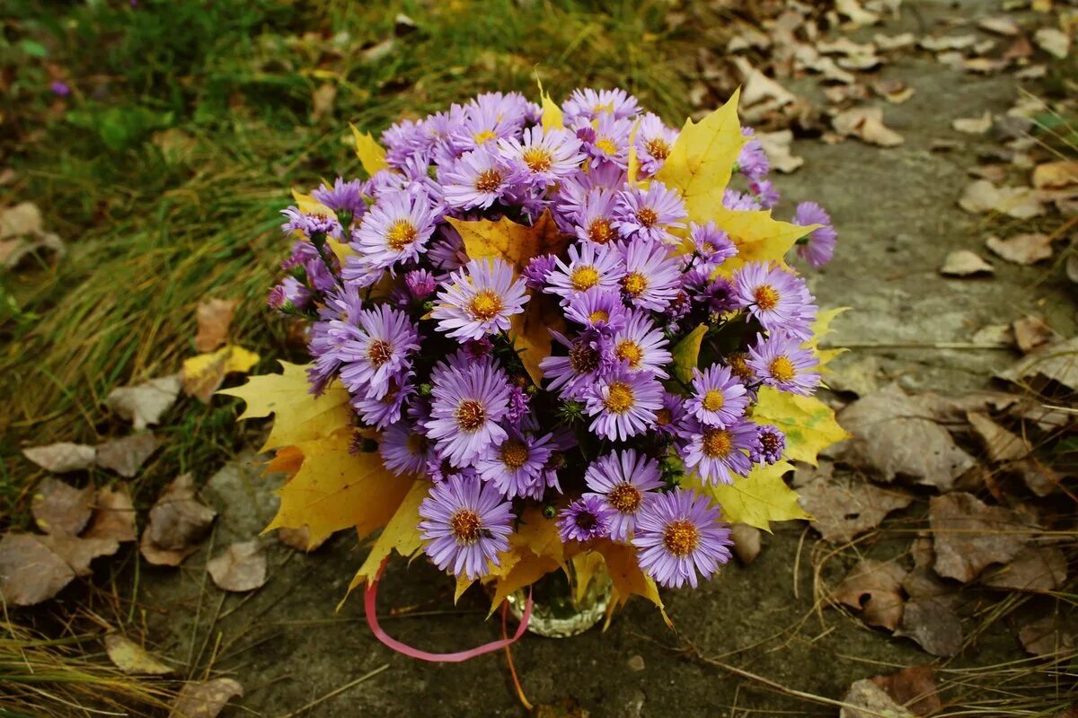 Последние цветы октября. Последние цветы октября. Последние цветы октября. Букет "осенние хризантемы". Последние цветы октября.