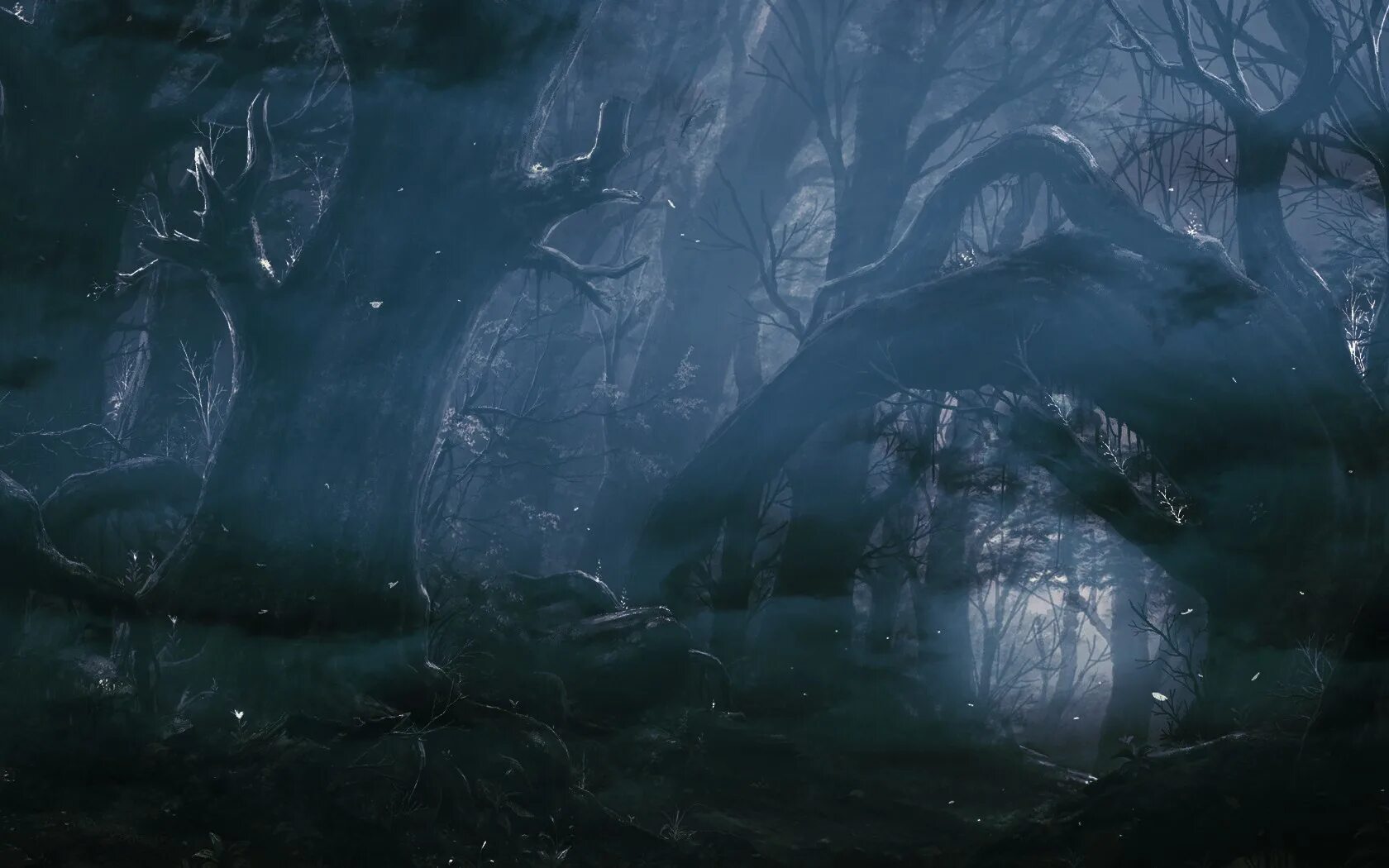 Темное фэнтези. Темный лес. Фэнтези лес. Темный лес арт. Fog the cave
