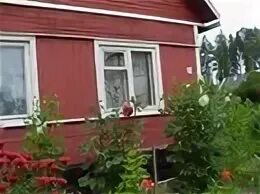 Деревня доронина