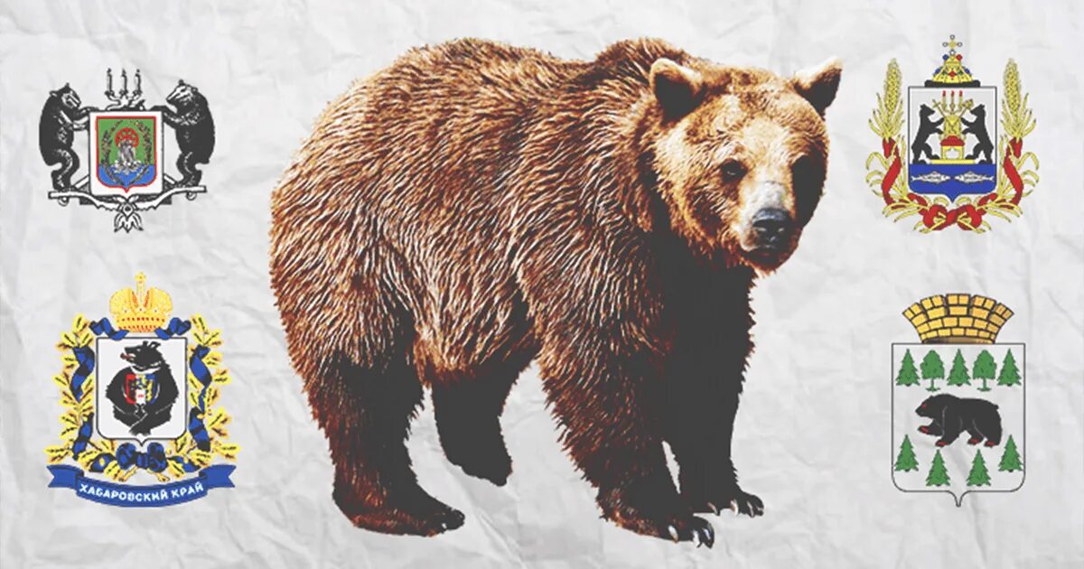 Неофициальный символ россии медведь. Медведь символ России. Неофициальные символы России медведь. Национальные символы России медведь. Символы России для детей медведь.