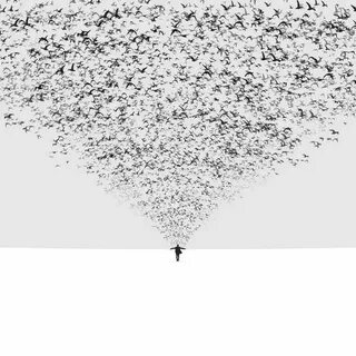 Gray hard