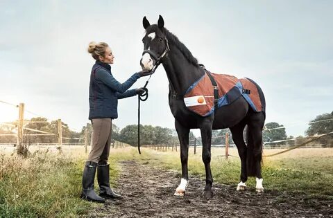 Equestrian перевод