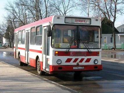 Транспорт брянска телефоны