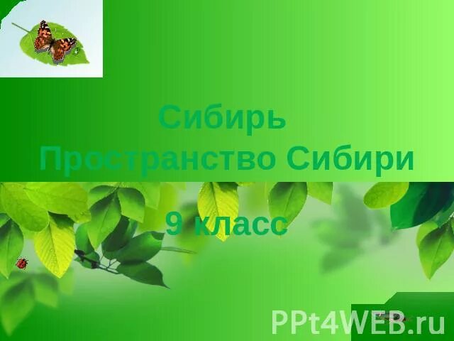 Пространство сибири презентация 9 класс полярная звезда. Пространство Сибири презентация. Пространство Сибири география 9. Презентация Сибирь пространство Сибири. Сибирь пространство Сибири презентация 9 класс Полярная звезда.